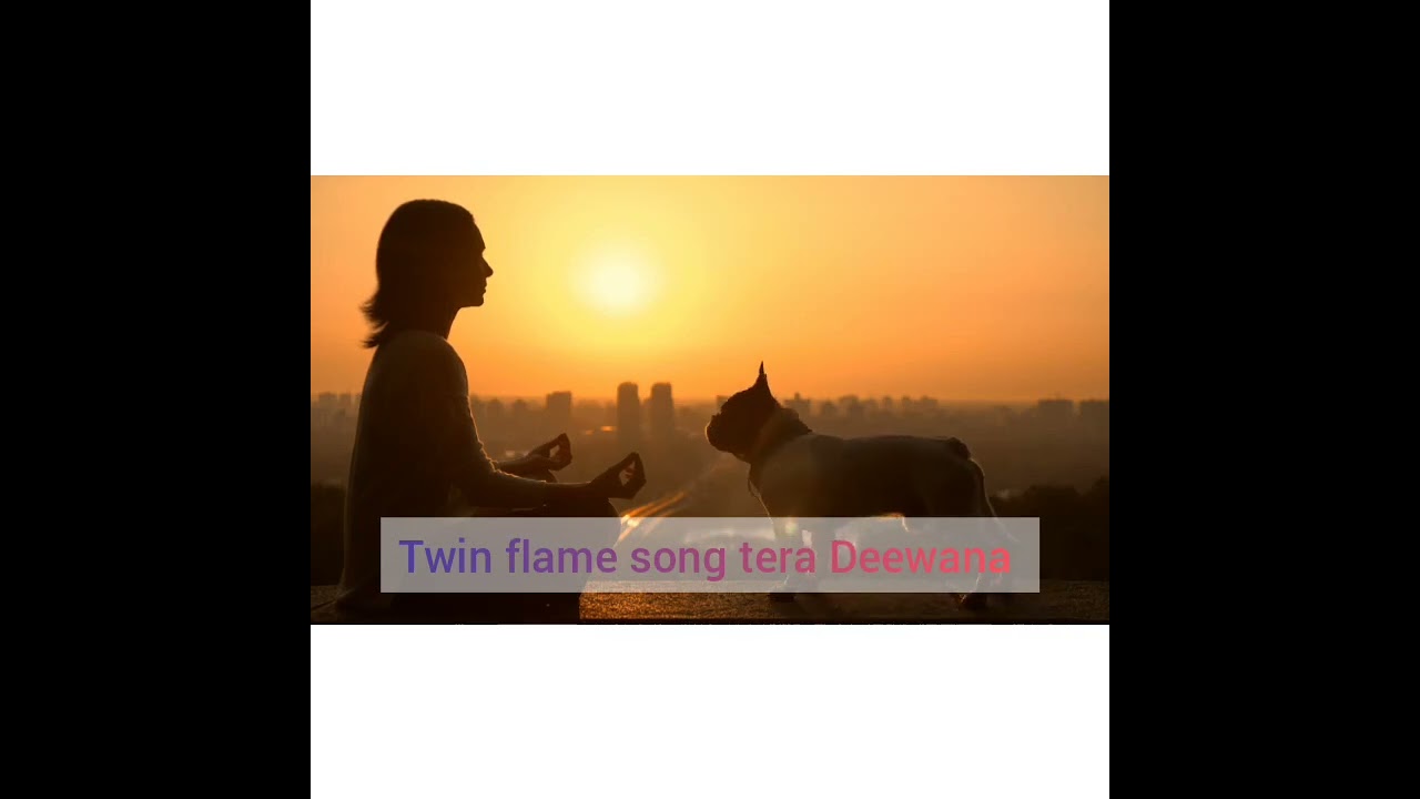 twin flame channeled song dm to df