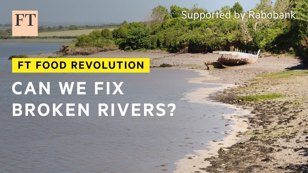 Fighting agricultural pollution in England&rsquo;s waterways | FT Food Revolution