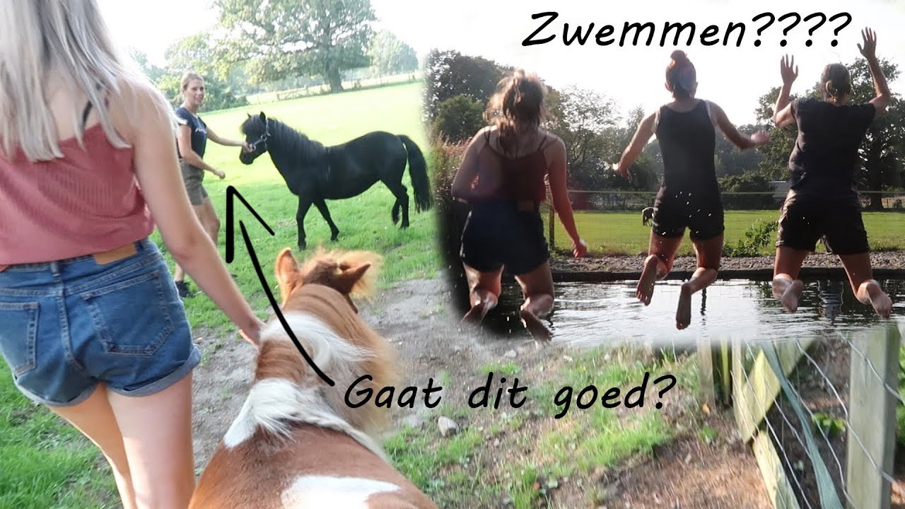 Naar Equitality, Peanut beleren?? |PaintedPony