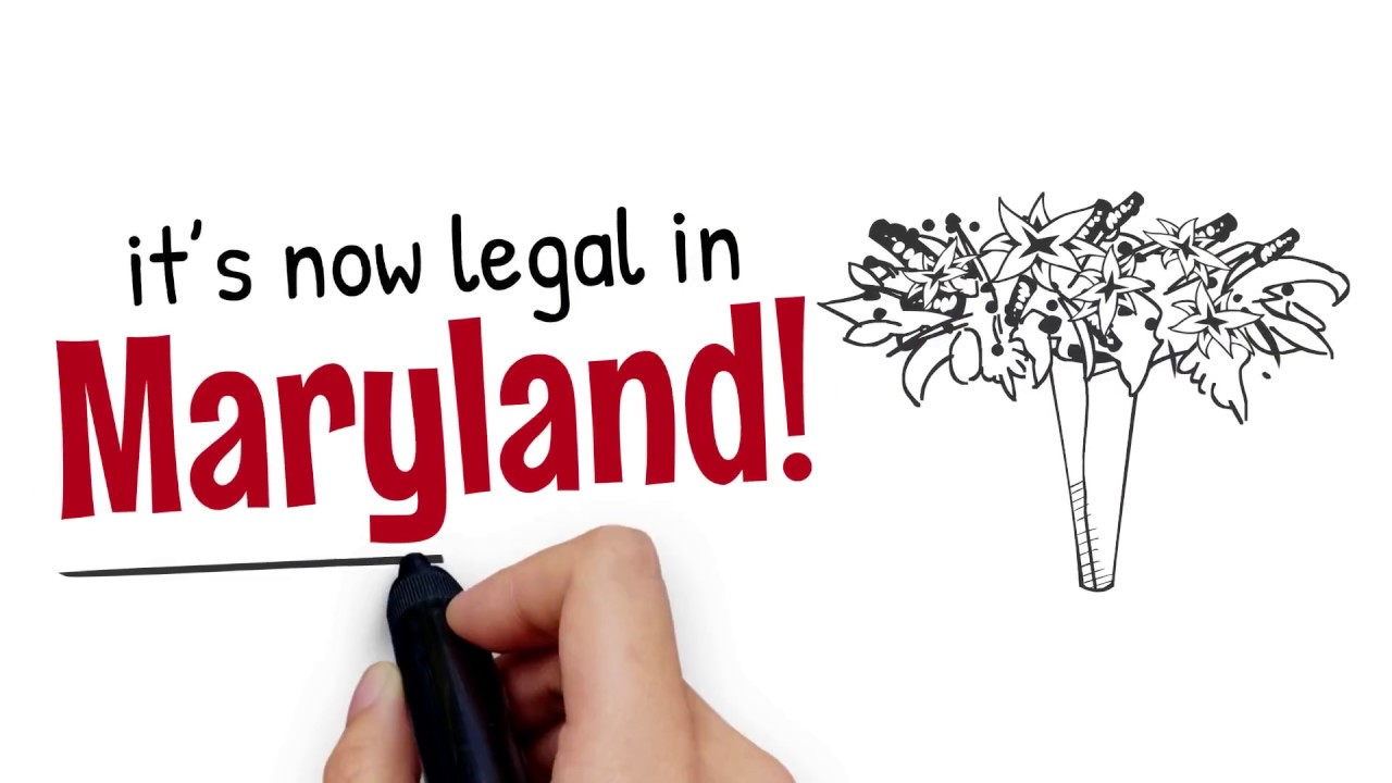 The Benefits of Medical Marijuana in Maryland