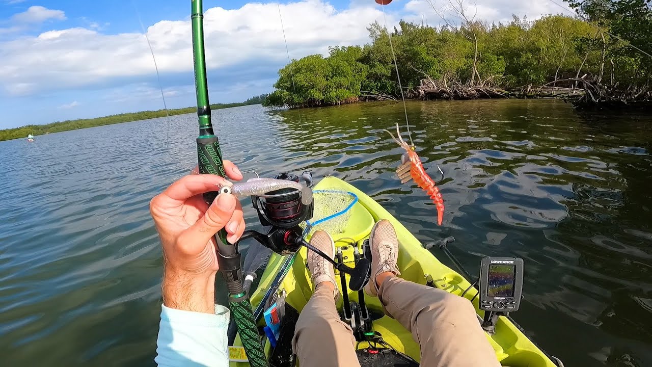 Рыбалка на острове Индиан-Ривер с приманками и живой наживкой — шведский стол с уловом!