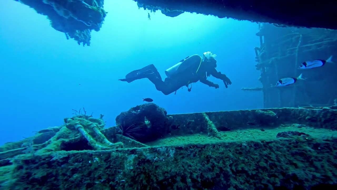 Diving Zenobia Day 1