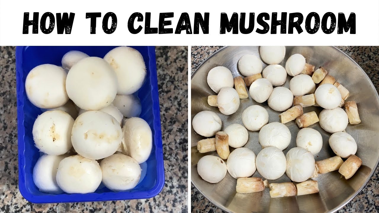 How to clean mushroom | കൂൺ ക്ലീൻ ചെയ്യുന്നതെങ്ങനെ #shorts #youtubeshorts