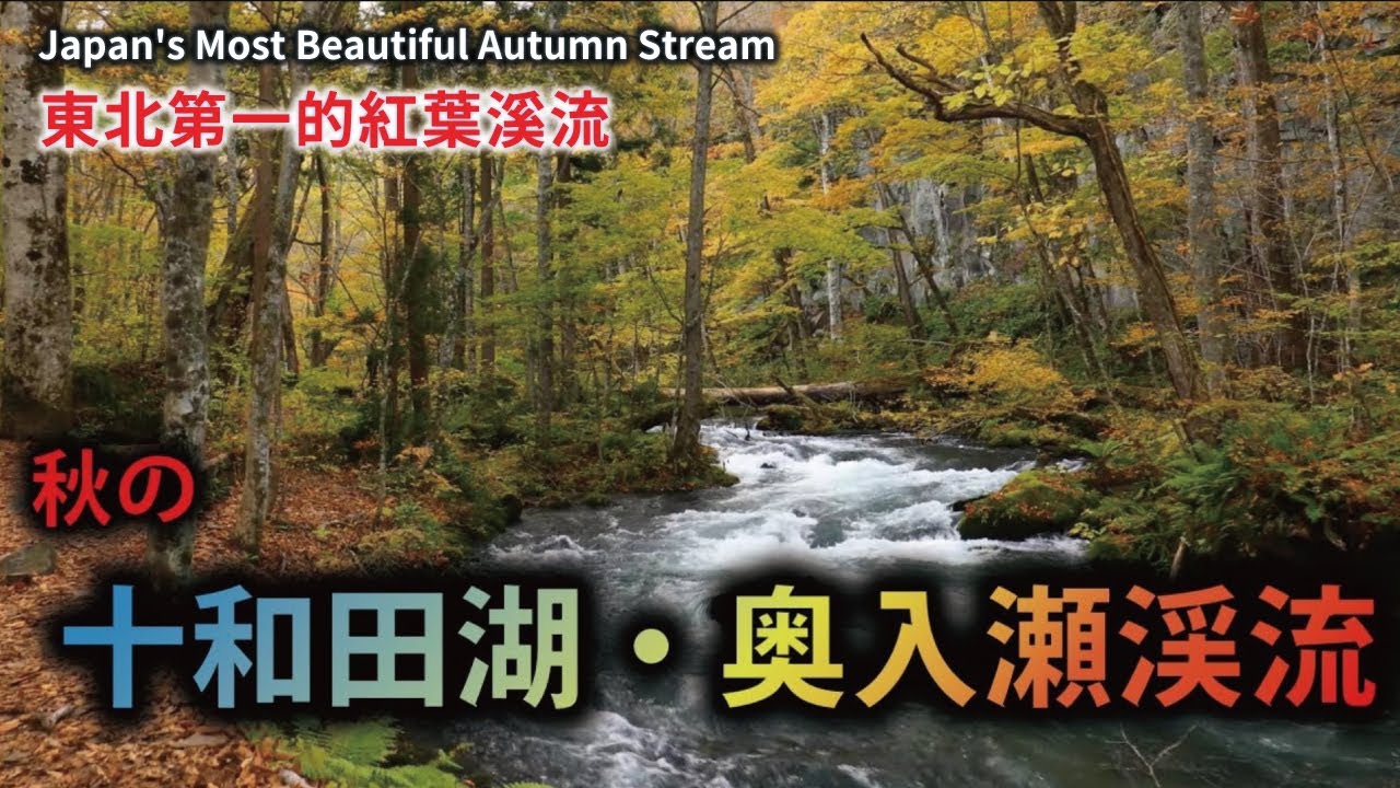秋の十和田湖・奥入瀬渓流