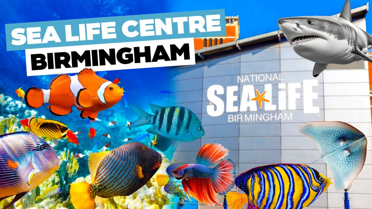 SEA LIFE Birmingham | Full Tour 2025