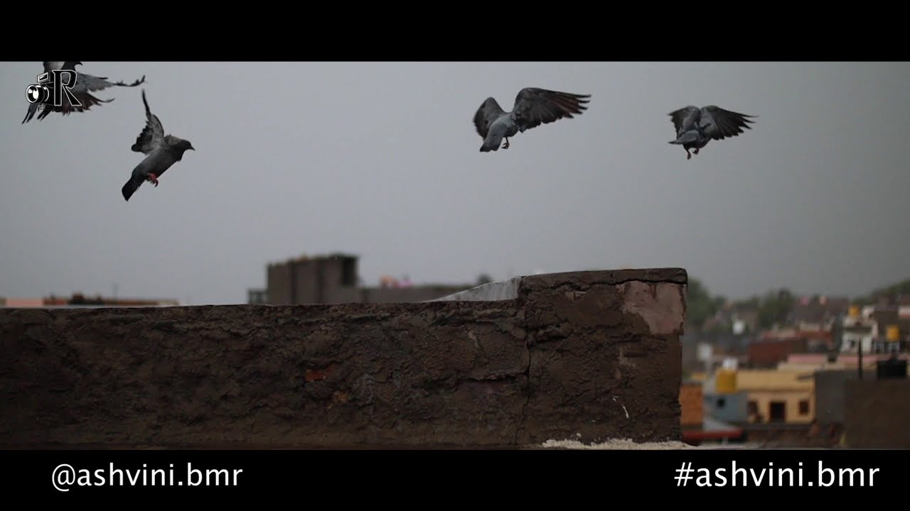 #BARMER #ashvini.bmr #Rain #cinematic video