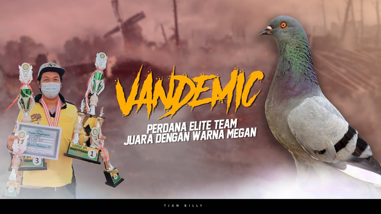 FINAL GEBYAR MERPATI KOLONG BEBAS INDONESIA BANGKIT | TOTAL HADIAH 35 JUTA LAPAK IPI TELESCOPE ARENA
