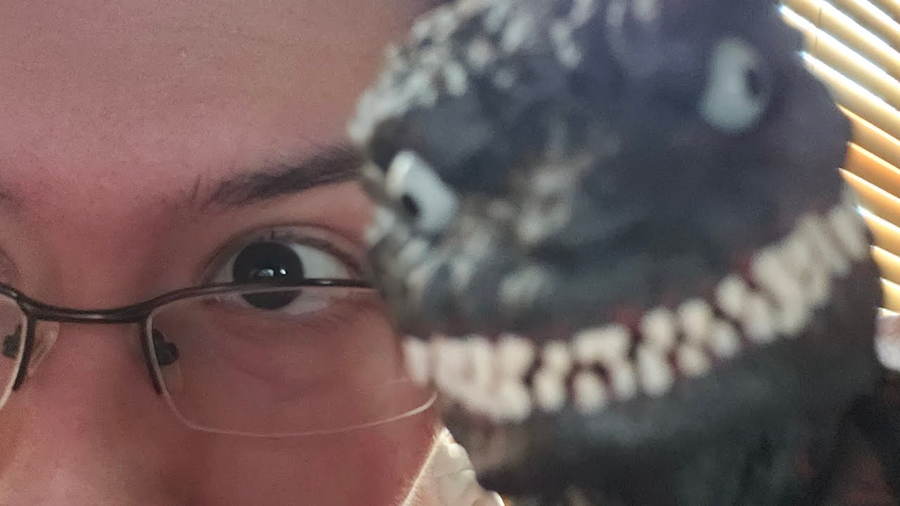 Showcasing my Nendoroid Shin Godzilla figure!