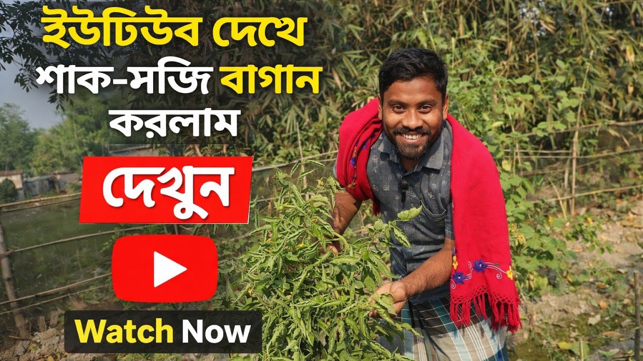 ইউটিউব দেখে শাক সবজি বাগান করছিলাম ,এখন কিছুটা ফলের অপেক্ষায় আছি #blog #vlogs #vlog #farming 