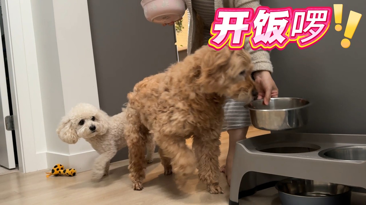 相处越来越融洽 形成催饭统一战线