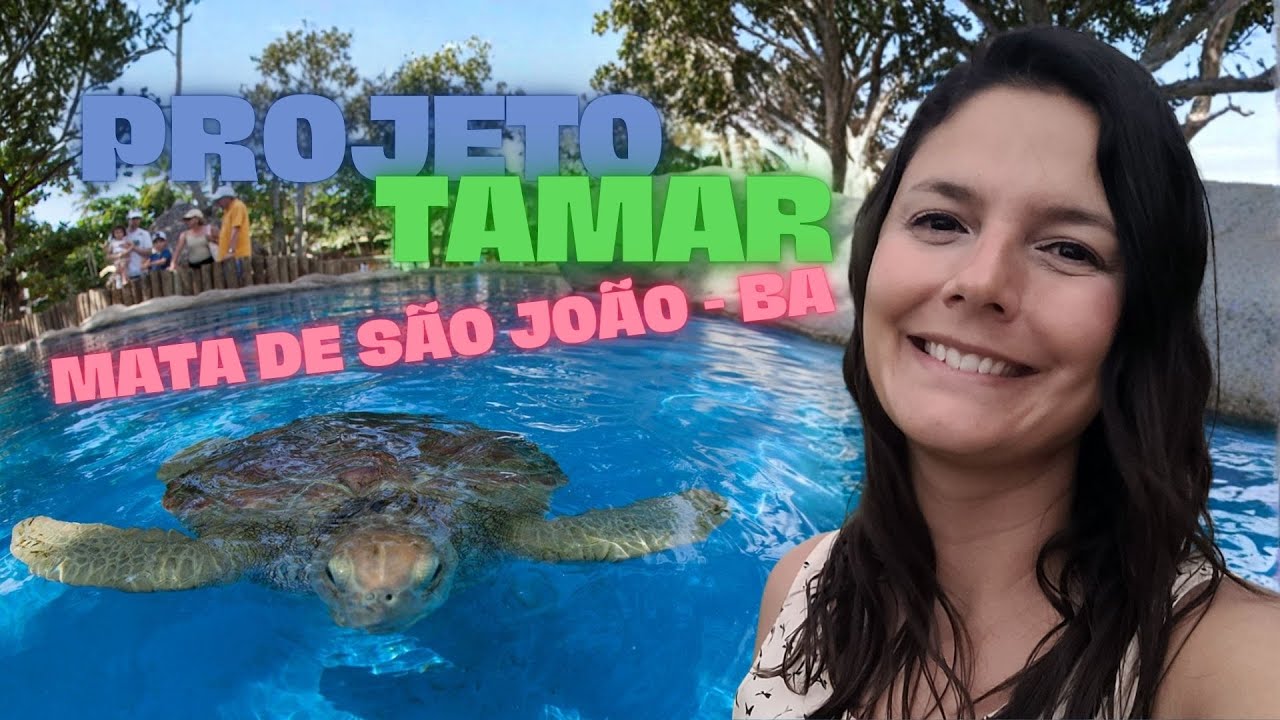 O PROJETO TAMAR é tudo isso mesmo? Fui conferir na BAHIA