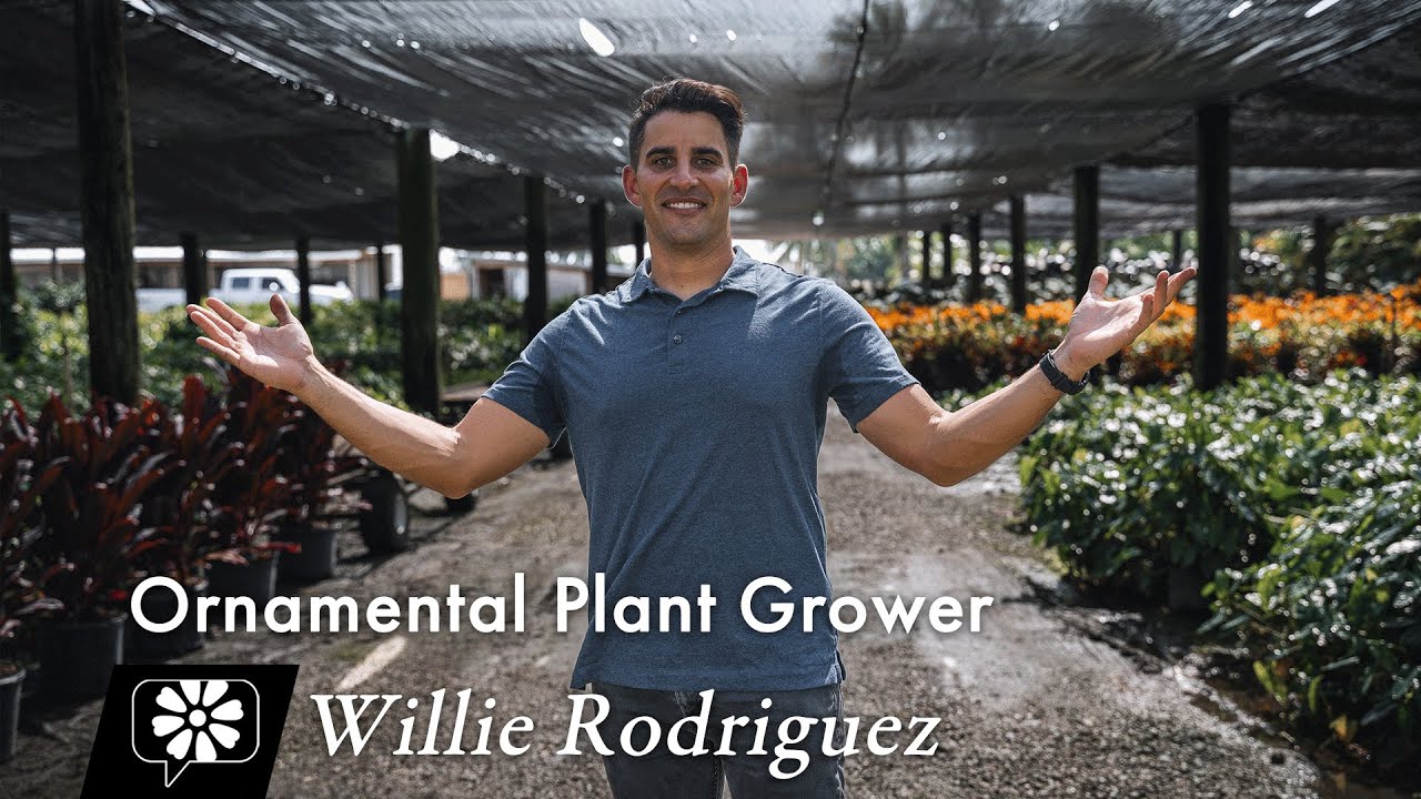 Willie Rodriguez: Ornamental Plant Grower