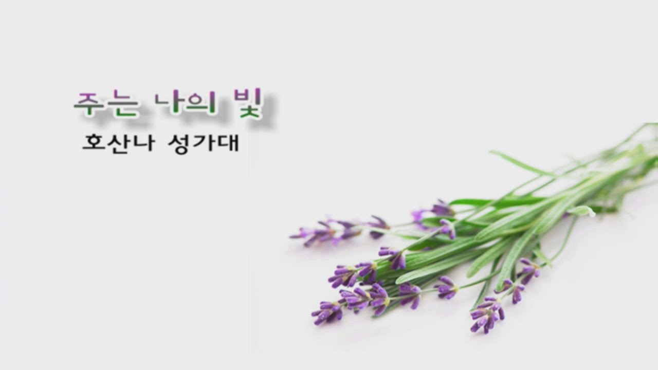 주는 나의 빛