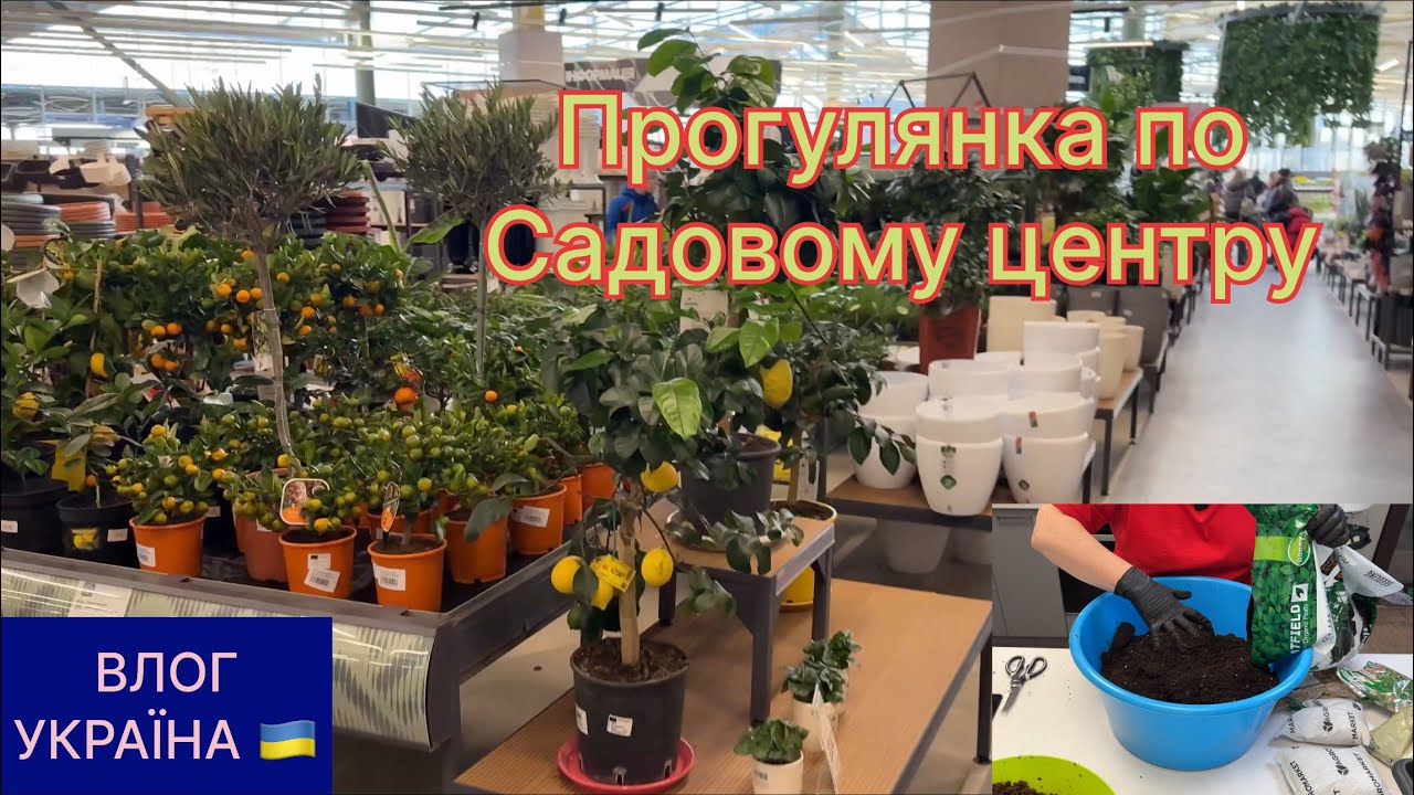 Ґрунт для розсади. Висаджуємо насіння перцю та баклажан. Купила цікаву швабру. 