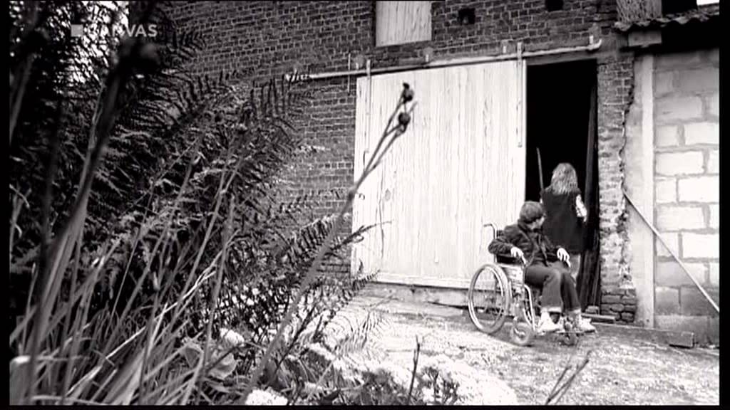 Zonde van de zendtijd - seizoen 3 aflevering 7 - Donderdag veggie dag