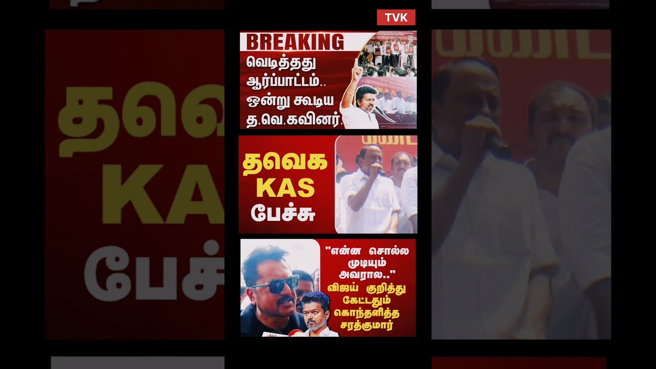 TVK Vijay | On Day News | #tvk #tvkvijay #bjp #breakingnews  #tamilnadunews #tvc #admk #news #tvshow