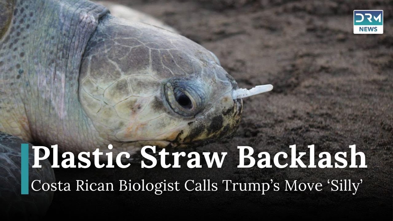 Trump’s Plastic Straw Policy Sparks Debate | Marine Biologist Weighs In | DRM News | AL1B
