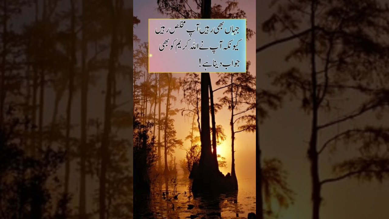 Best Islamic Quotes about ALLAH and His Mercy| Islamic Quotes about ALLAH| Islamic Quotes| Islamic