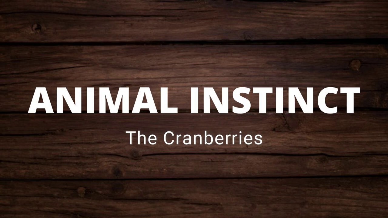 THE CRANBERRIES   ANIMAL INSTINCT LYRICS