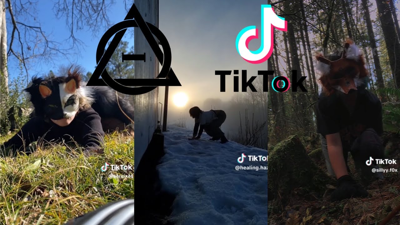 Therian and Quadrobics TikToks || Compilation 🐾🪱🪲|| Alterhumans of TikTok #68