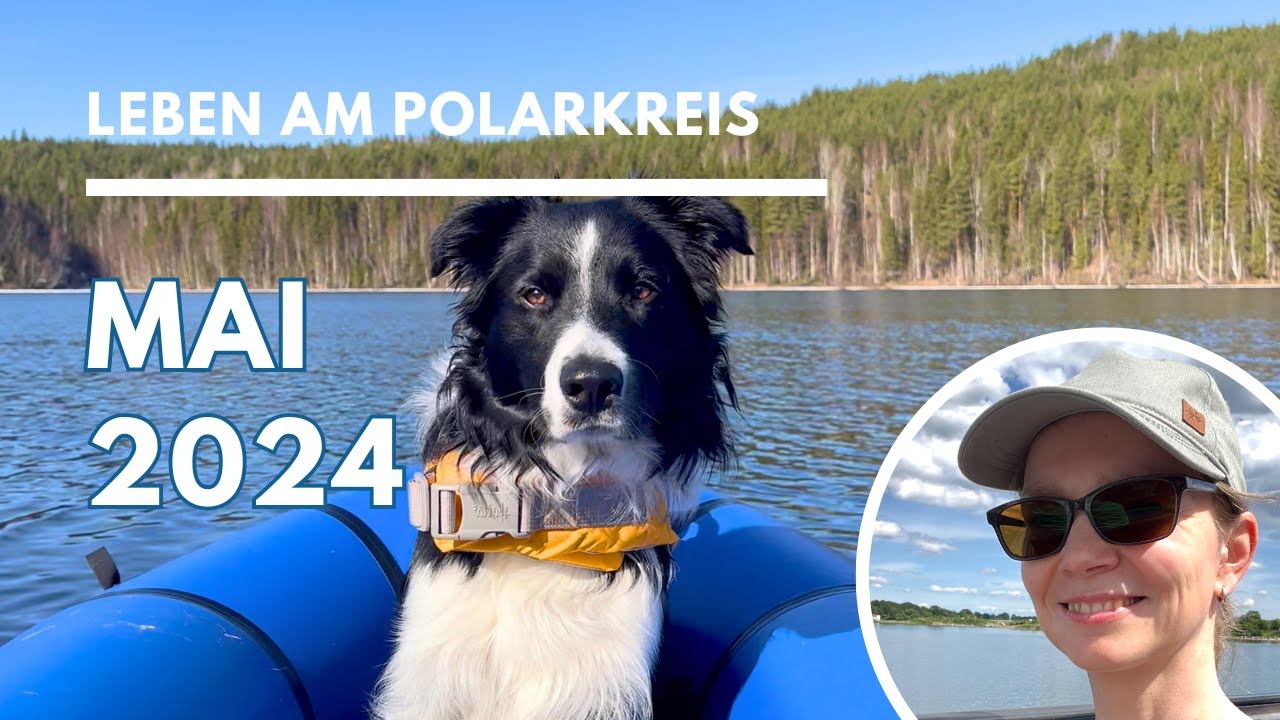 Mai 2024: Sommerwärme, Bauprojekt und ein neuer Hund