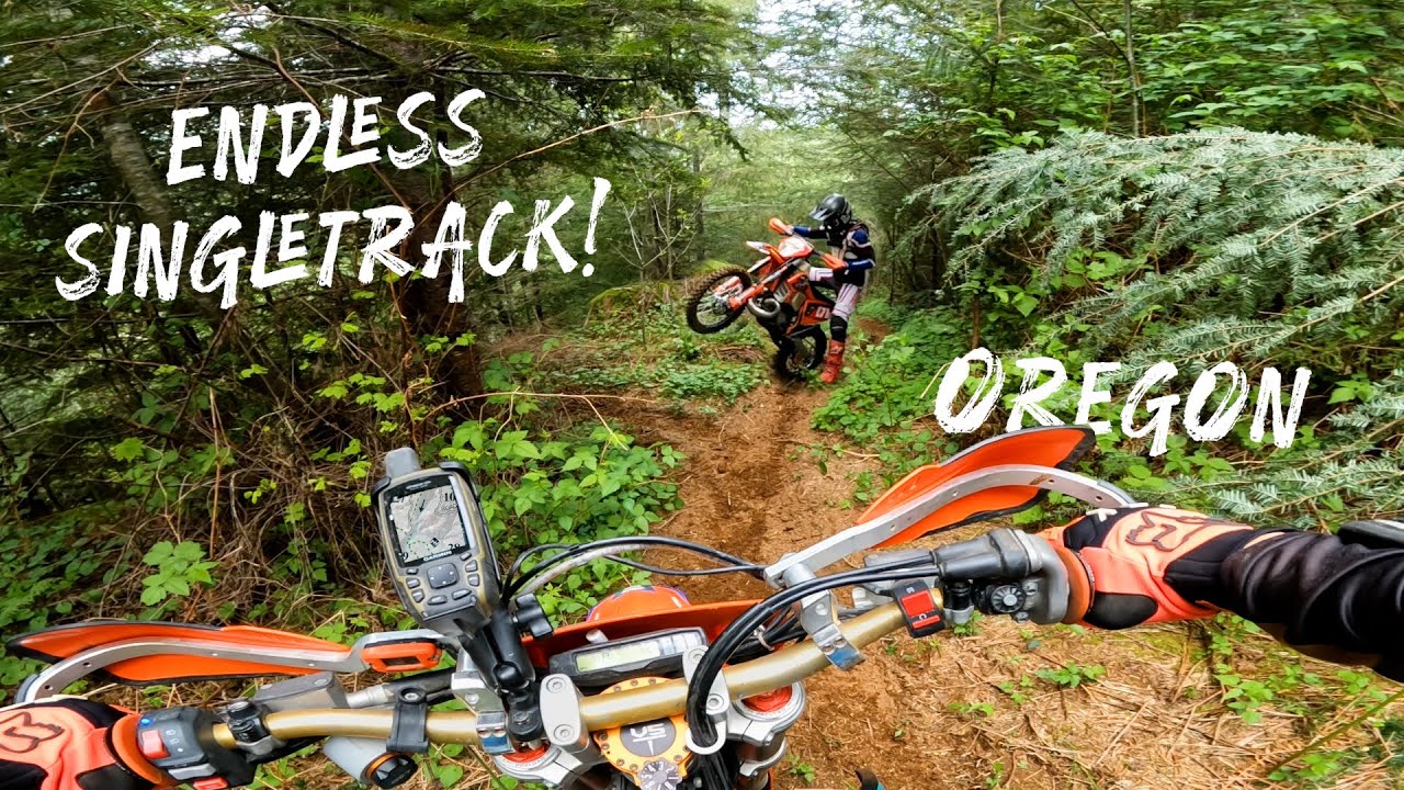 Dirt Biking Oregon's Best Singletrack - Tillamook State Forest