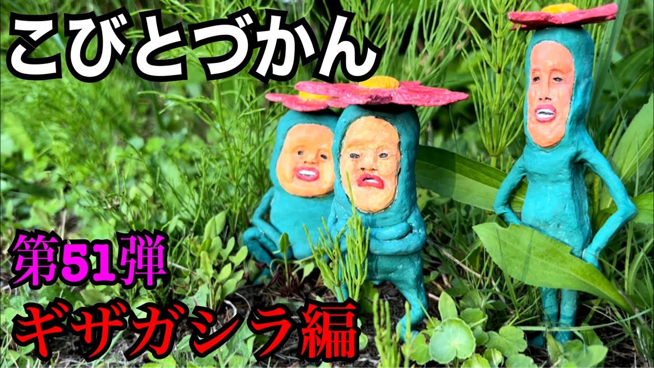 【こびとづかん】ギザガシラ見つけるまで帰れま10！！！