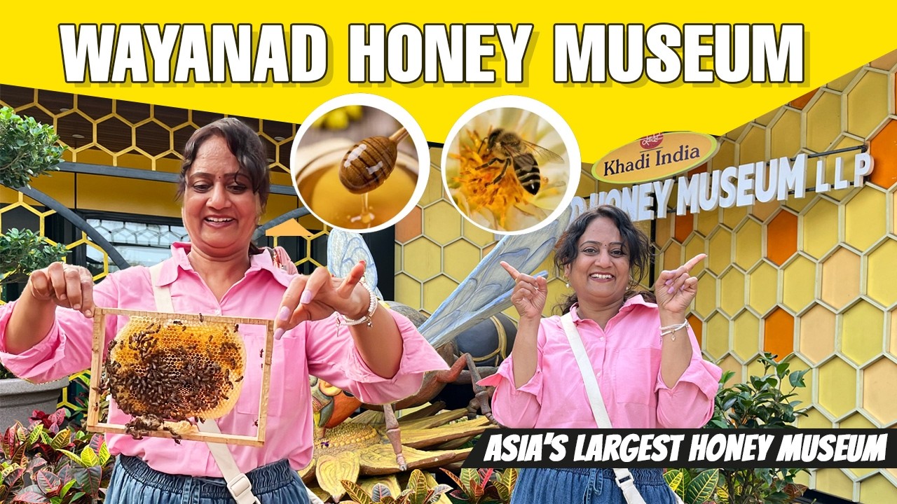 Wayanad Honey Museum 🌿🍯 || Wayanad Tourist Places || Honey Museum Wayanad