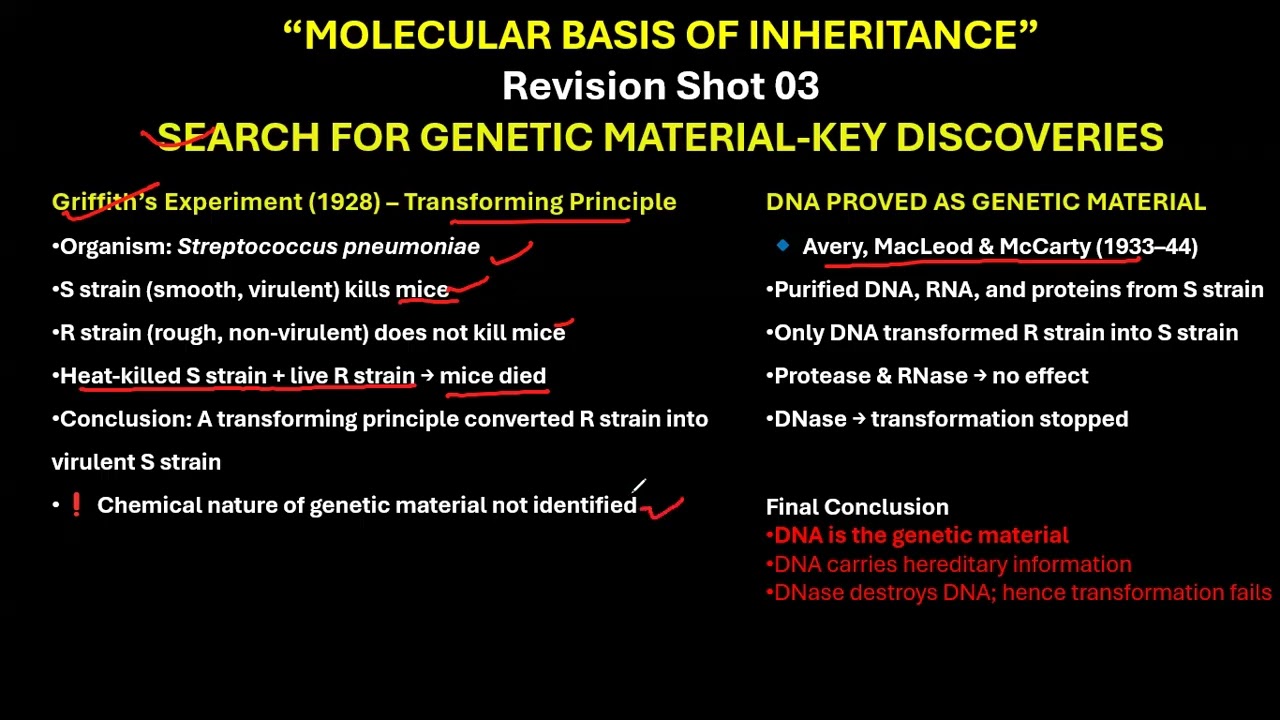 CBSE GRADE 12 GRIFFITH'S EXPERIMENT  Molecular Basis of Inheritance 3