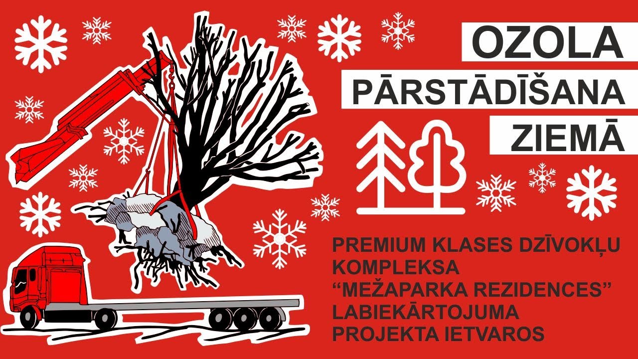 LABIE KOKI