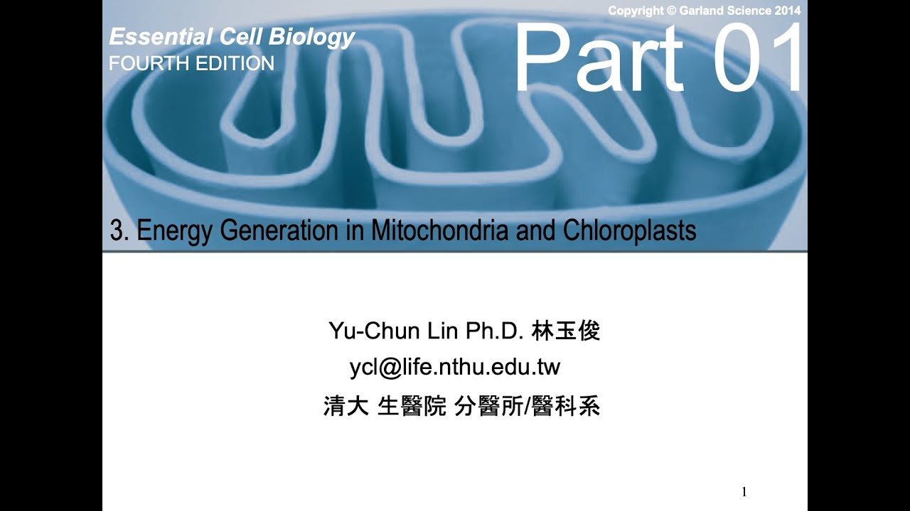清大醫科系細胞生物學-03細胞產生能量 Part01; 3 Energy generation Part 01