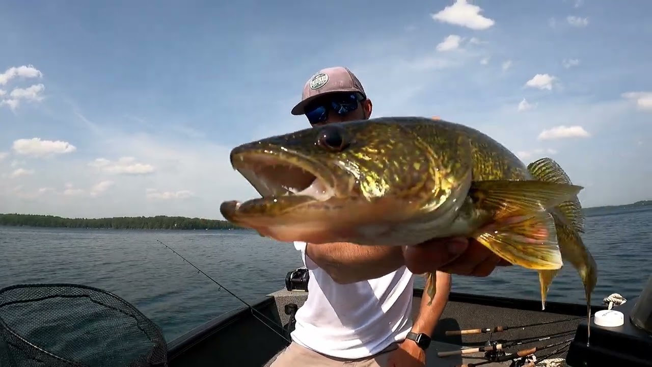 Walleye Madness! Early Summer Walleye’s in Hayward Wisconsin 