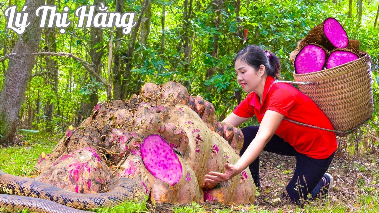 Harvest BIG YAM & Cooking - 2 Years Alone in the Forest