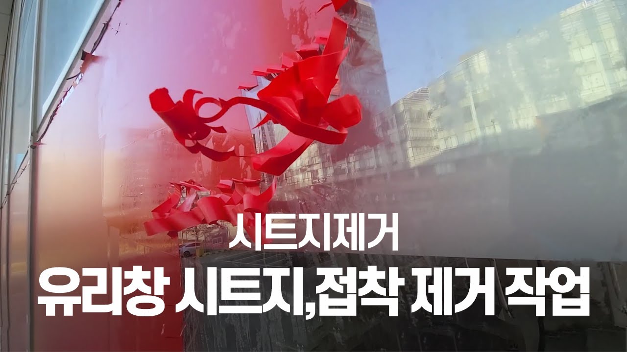 [시트지제거,스티커제거] 유리 시트지, 접착 제거 작업