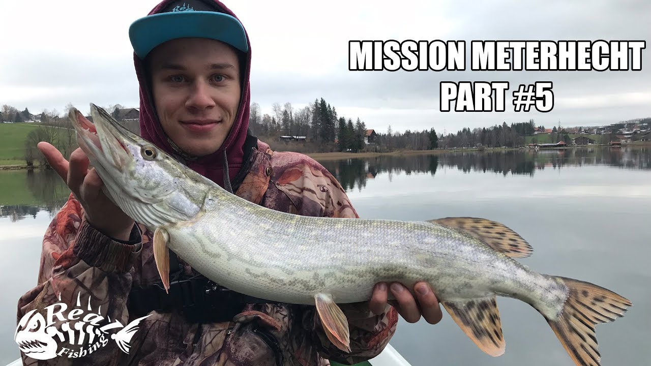 Im Herbst am Weissensee - Mission Meterhecht - Part #5