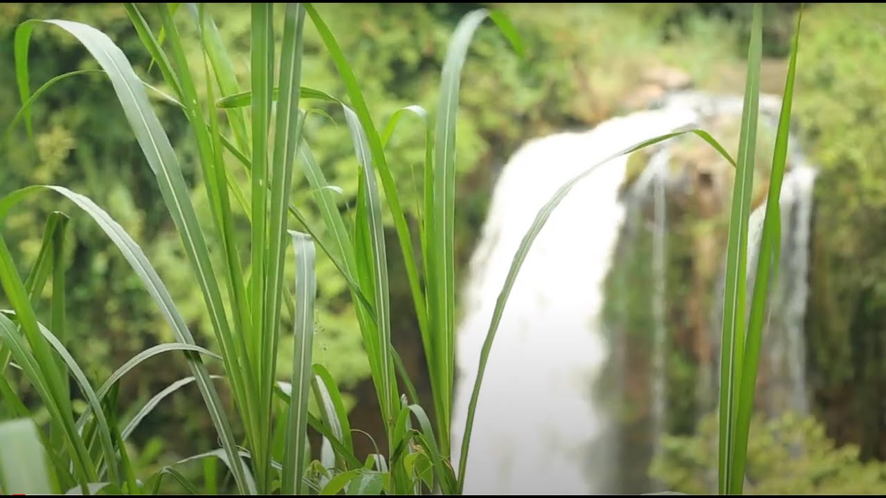 meru county documentary