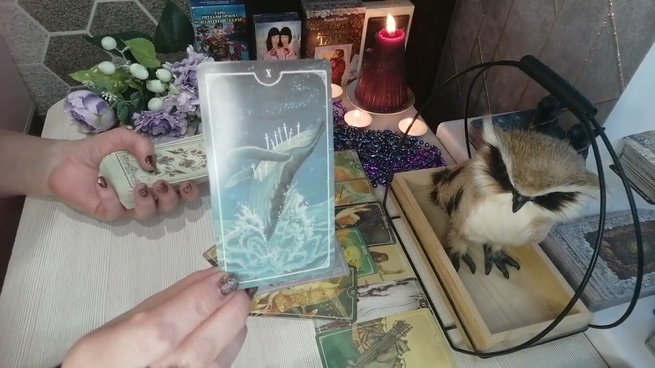 💯🤷‍♀️Почему Вы попали именно на это видео🔥. Что Вам немедленно нужно знать о нем💯🤷‍♀️