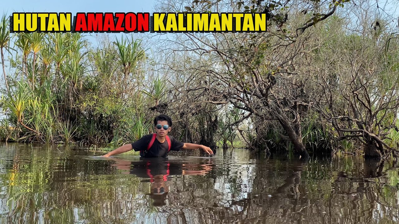 3 HARI BERBURU PENGHUNI SUNGAI, HUTAN, DAN RAWA KALIMANTAN😅 #178 #bocahpecicilan