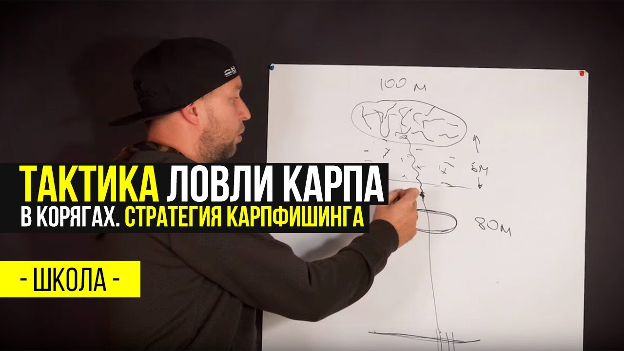 ТАКТИКА ловли КАРПА в КОРЯГАХ. СОВЕТЫ по выбору СНАРЯЖЕНИЯ