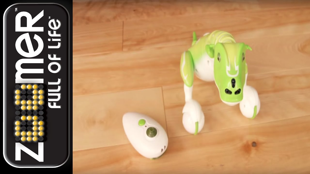 Zoomer | Getting Started with Your Zoomer Dino