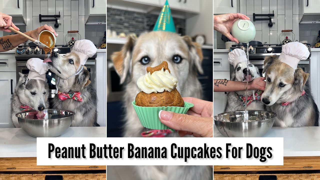 Peanut Butter Banana Cupcakes For Dogs