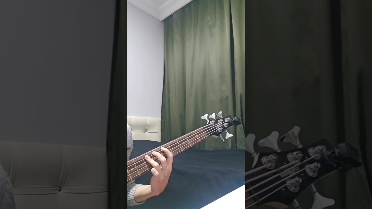 mor ve ötesi - Deli Bas Gitar Cover Bass Cover