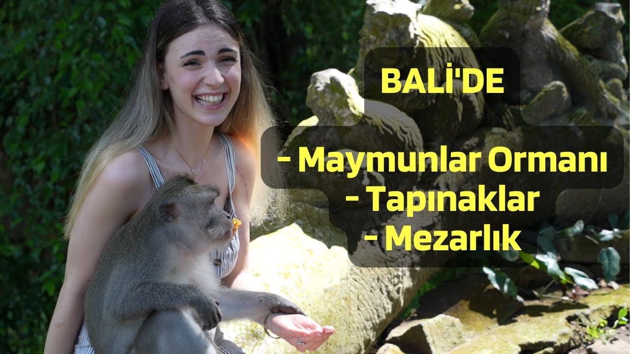 MAYMUNLAR ORMANINDAYIZ! | BALİ 🌴