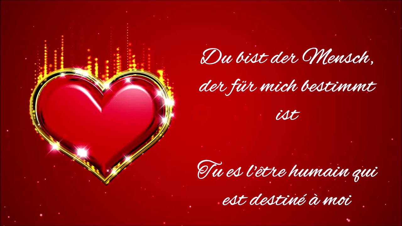 *Willkommen in meinem Leben* Lyric Video deutsch+francais