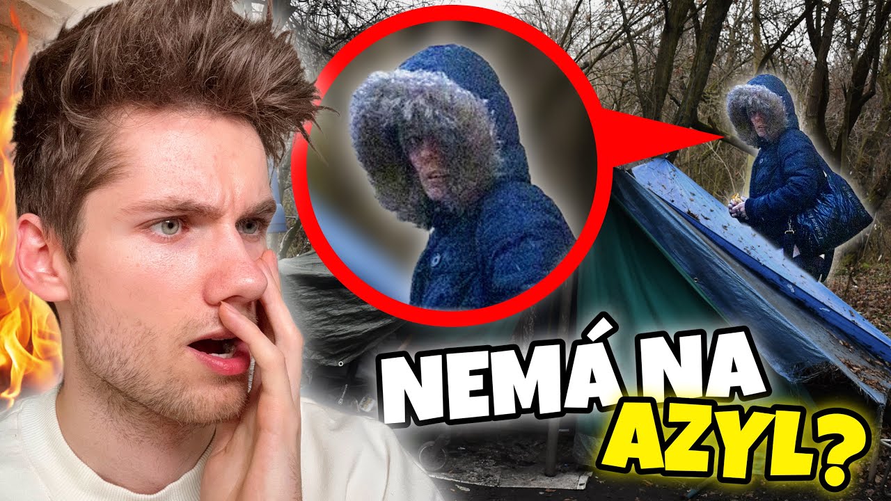 ADÉLA BYDLÍ VE STANU V LESE?