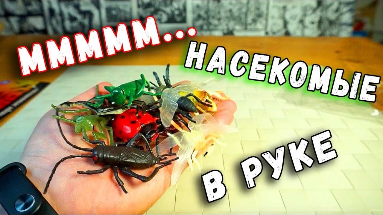 КУЧА НАСЕКОМЫХ В РУКЕ - ФУ-ФУ или НЯМ-НЯМ?