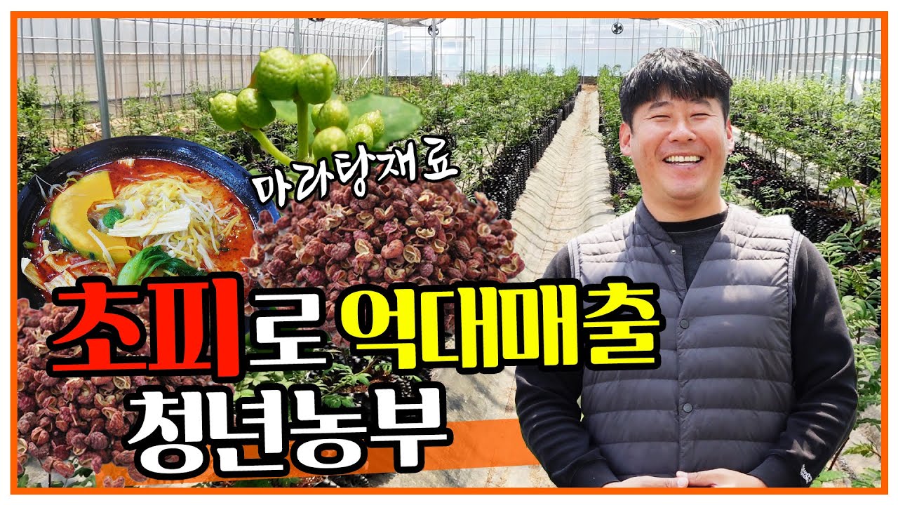 해병대 출신 청년농부가 귀농 작물로 초피를 추천하는 이유는?
