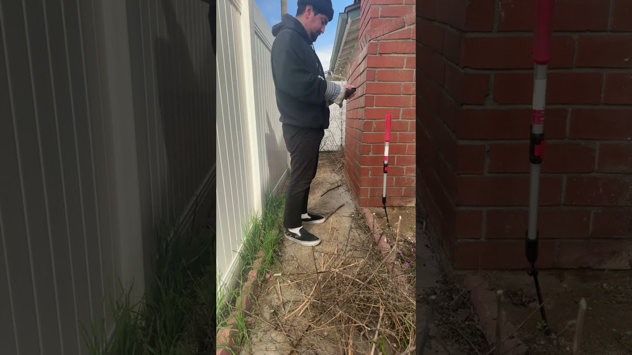 Let’s clean the backyard!