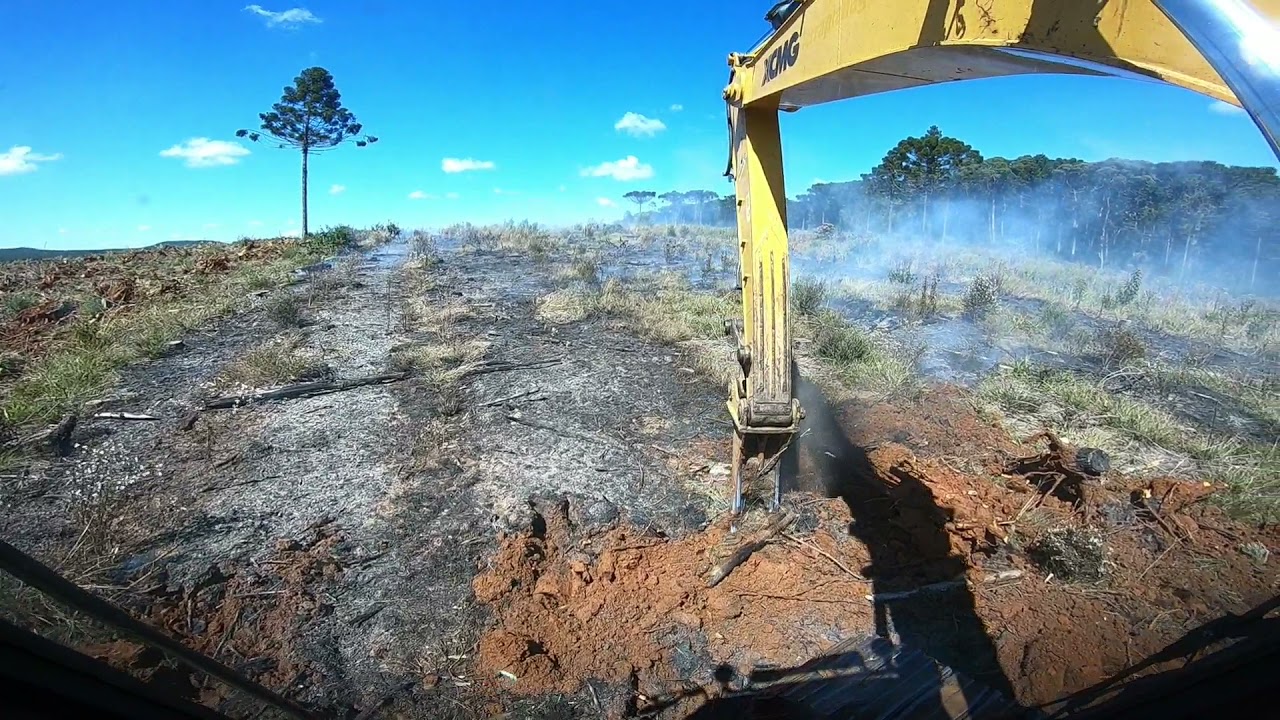 Voltamos ao destoca de toco de pinos com escavadeira Hidráulica.