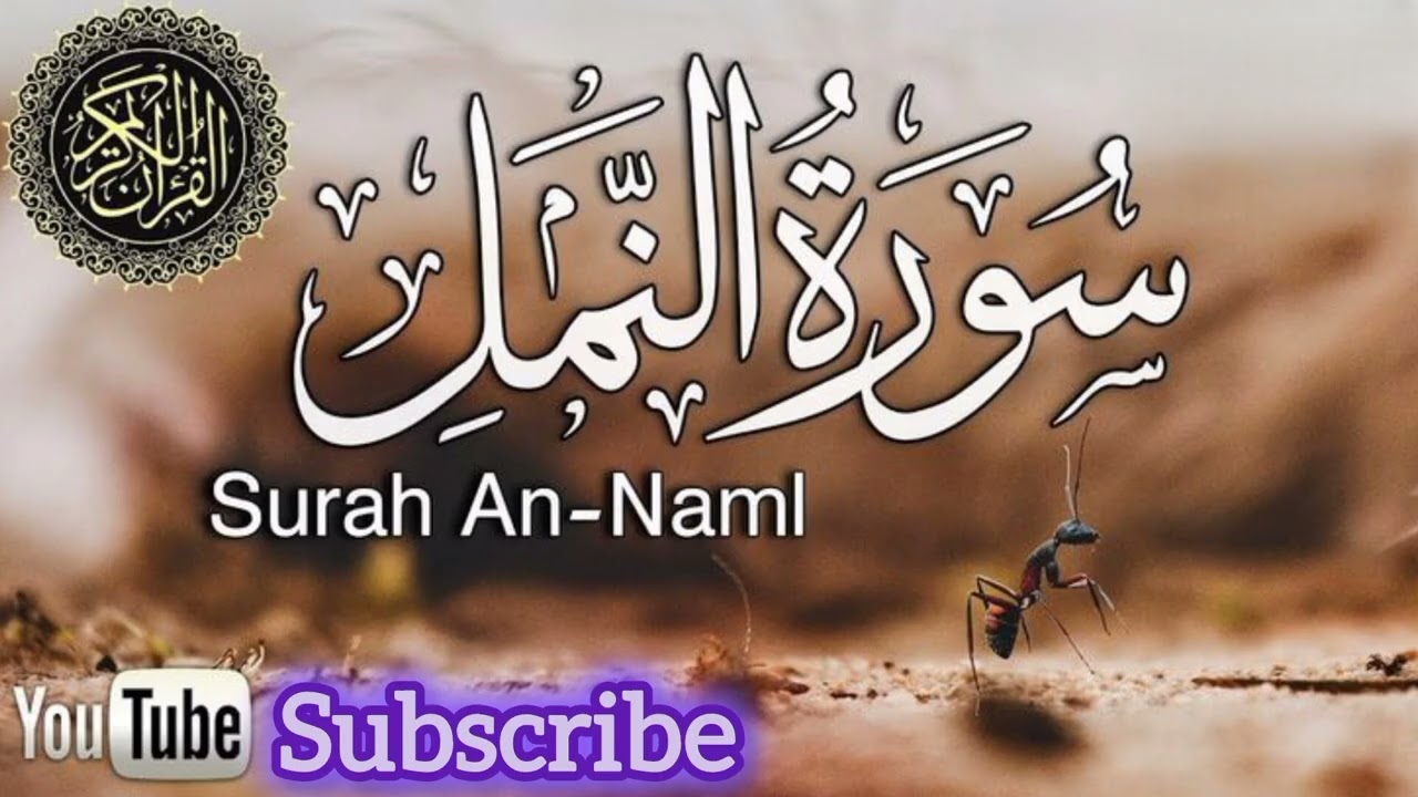 Surah An Naml | surah naml | beautiful recitation of surah naml | quran ki tilawat